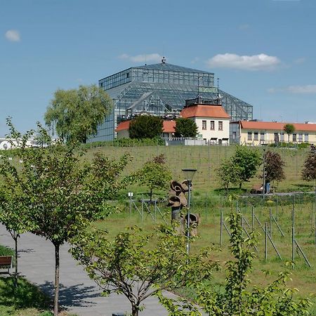 W12 Home Station - Apartement Greenpink Зелёна-Гура Экстерьер фото